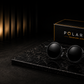 POLAREYE Tint Sunglasses Black Frame